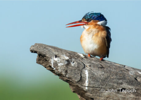 Lens Africa Photo Tours - South Africa